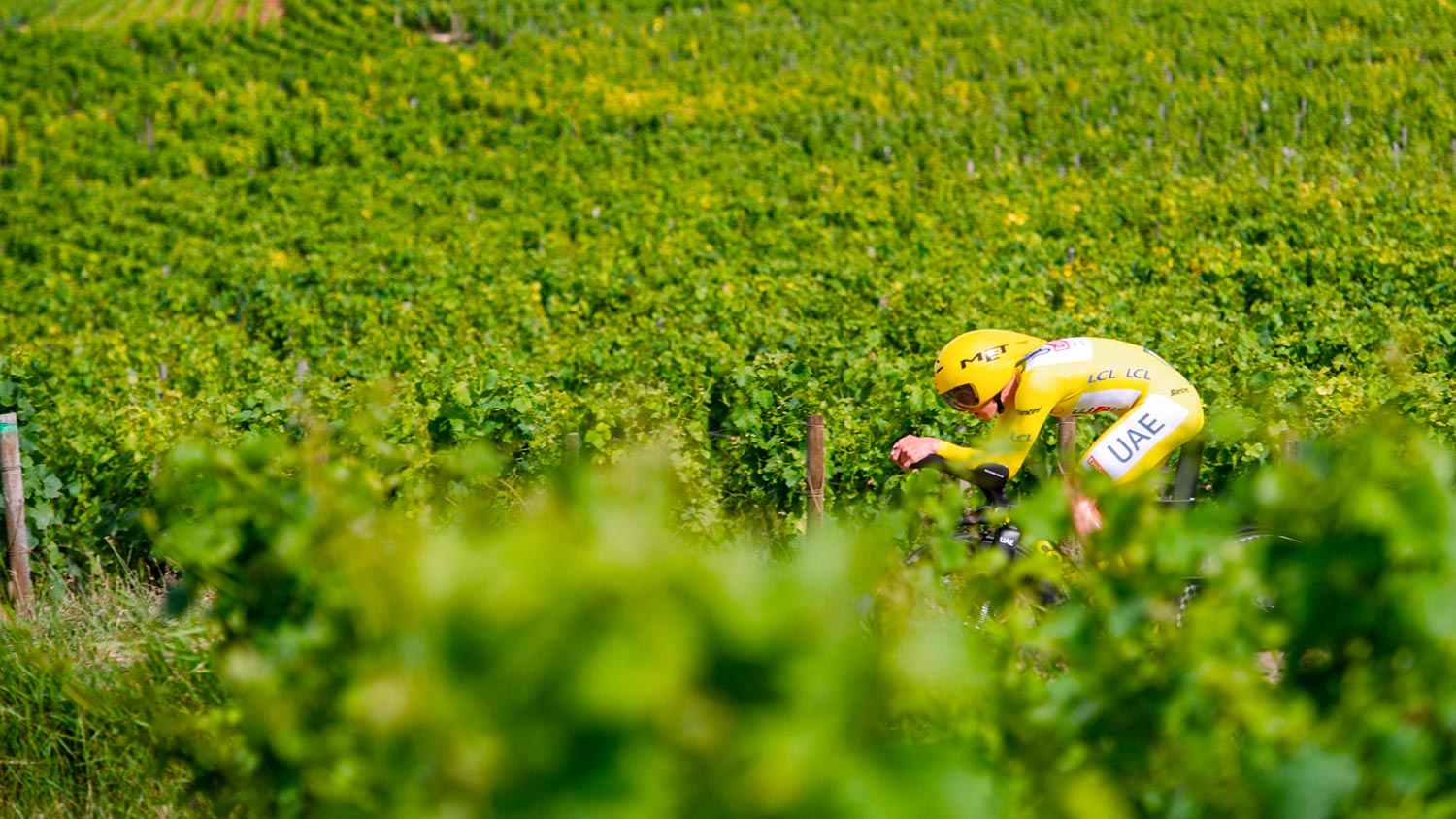 Tour de France la Karrière